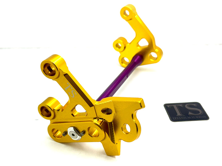 Custom CNC Aluminum Footpeg Bracket Assembly (SURRON LBX)