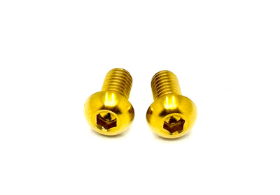 Titanium Ignition Cover Bolts (Set of Two) Surron, Segway, 79 Bike