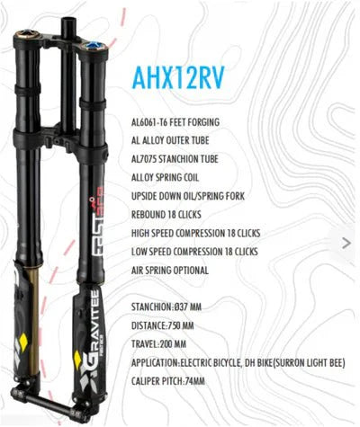 FastAce Gravitee Fork AHX12RV (3.0)