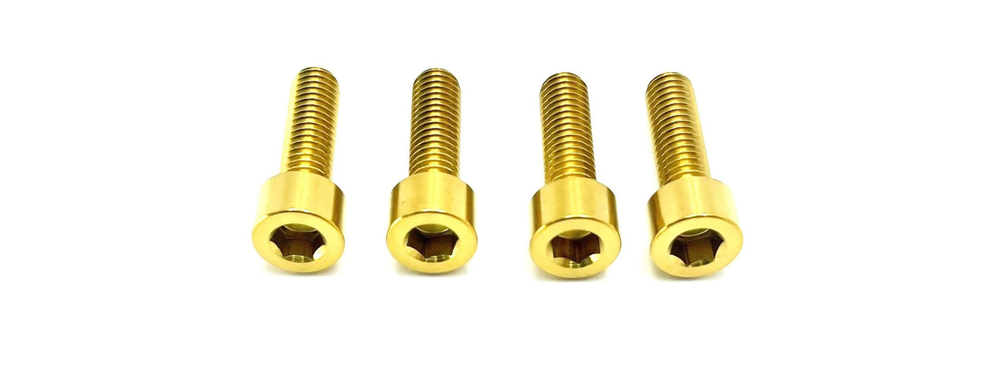 Titanium Axle Pinch Bolts (EXT Ferro Fork)