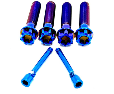 Titanium Spline Head 220mm Rotor Caliper Bolt Kit (30mm bolts)