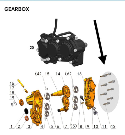 Titanium Gearbox Bolt Kit (TALARIA)