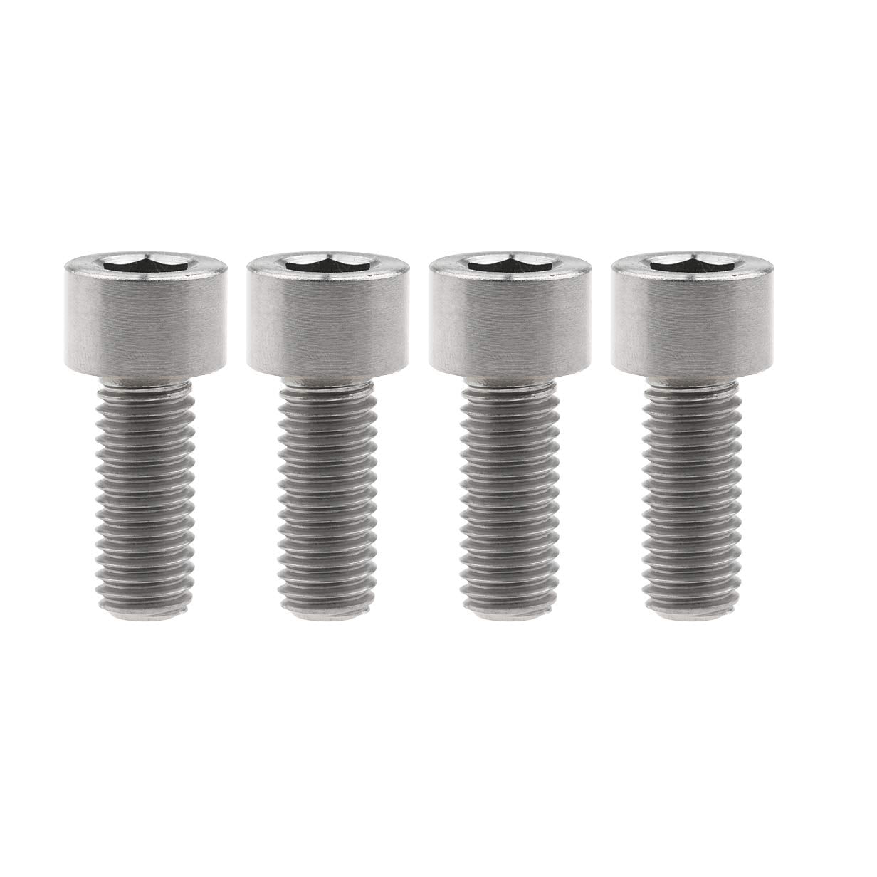 Titanium Motor Mount Bolts (ERIDE PRO)