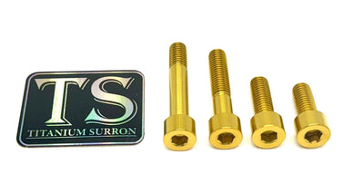 Titanium Motor Mount Bolts (TALARIA XXX)