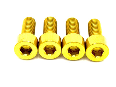 Titanium Peg Bracket Bolts