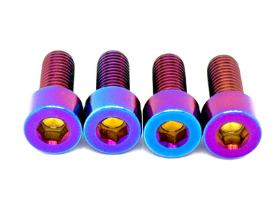 Titanium Peg Bracket Bolts