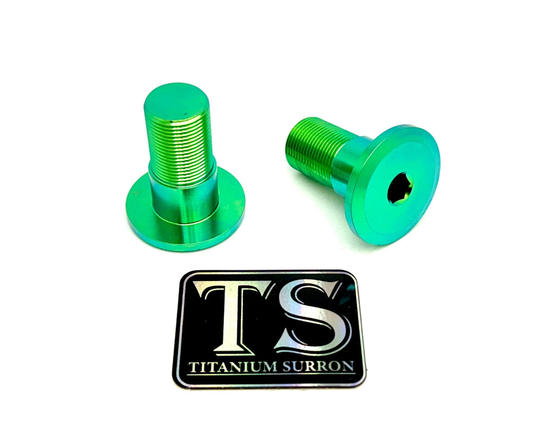 Titanium Swingarm Bolts (TALARIA)