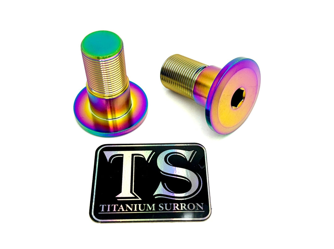 Titanium Swingarm Bolts (TALARIA)