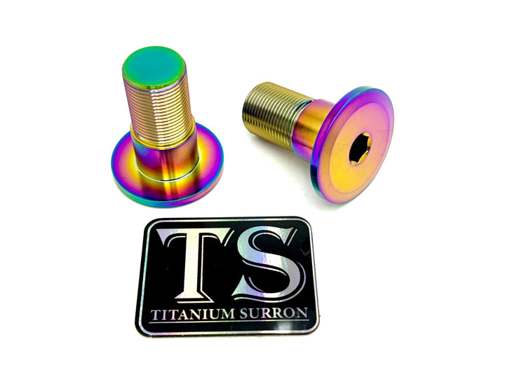 Titanium Swingarm Bolts (TALARIA)