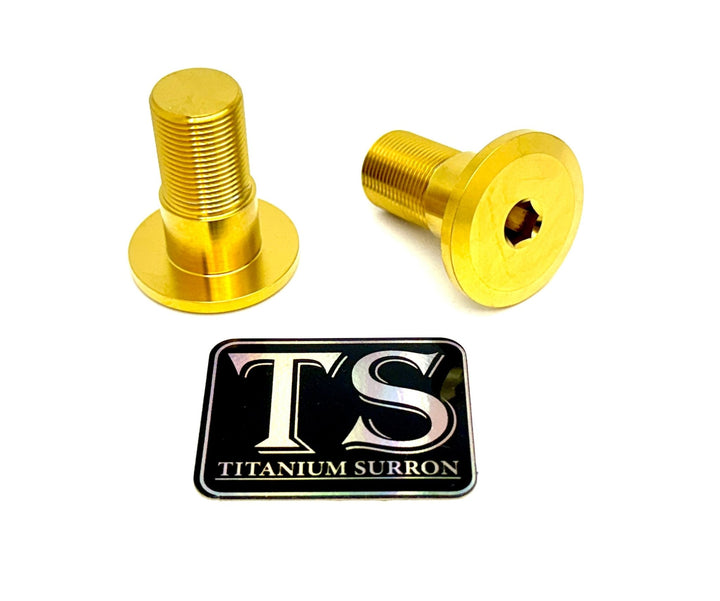 Titanium Swingarm Bolts (TALARIA)