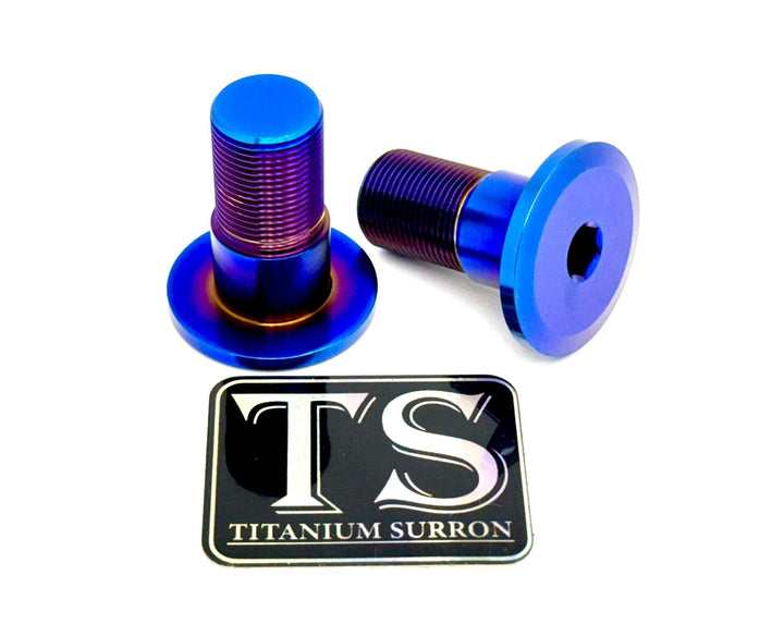 Titanium Swingarm Bolts (TALARIA)