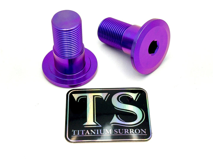 Titanium Swingarm Bolts (TALARIA)